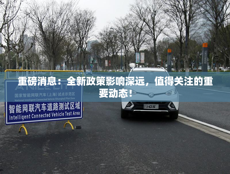 重磅消息：全新政策影响深远，值得关注的重要动态！