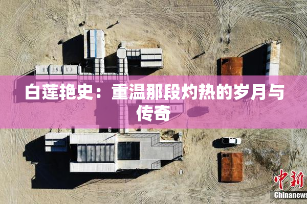 白莲艳史：重温那段灼热的岁月与传奇