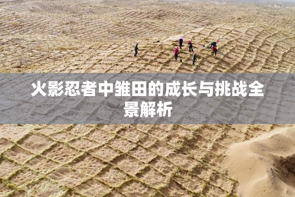 火影忍者中雏田的成长与挑战全景解析