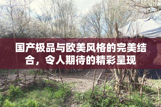 国产极品与欧美风格的完美结合，令人期待的精彩呈现