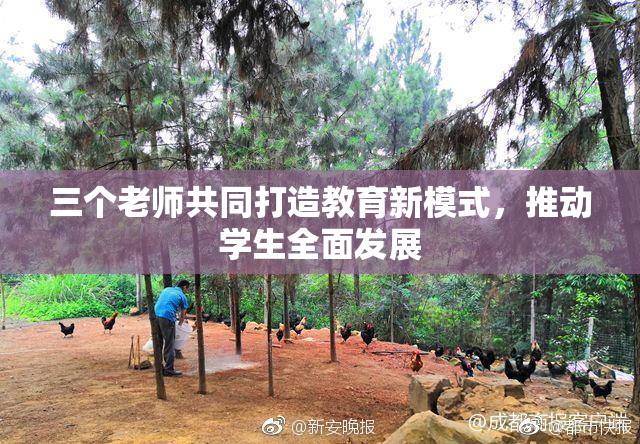 三个老师共同打造教育新模式，推动学生全面发展