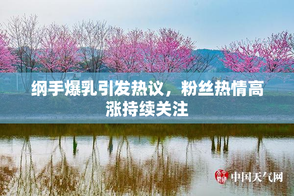 纲手爆乳引发热议，粉丝热情高涨持续关注