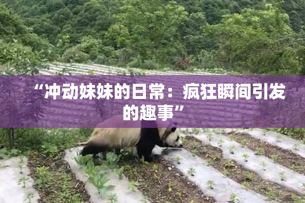“冲动妹妹的日常：疯狂瞬间引发的趣事”
