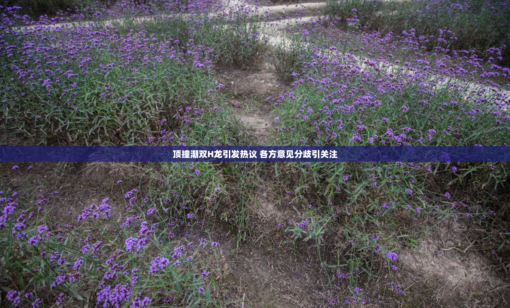 顶撞潮双H龙引发热议 各方意见分歧引关注