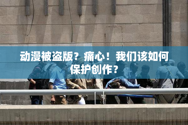 动漫被盗版？痛心！我们该如何保护创作？