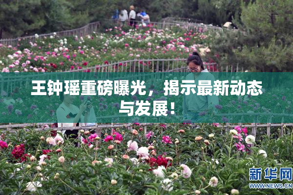 王钟瑶重磅曝光，揭示最新动态与发展！
