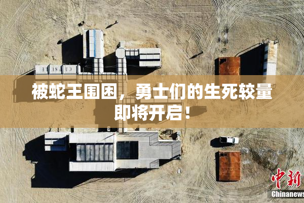 被蛇王围困，勇士们的生死较量即将开启！