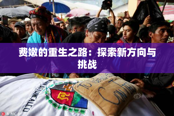 费嫩的重生之路：探索新方向与挑战