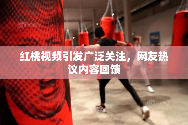 红桃视频引发广泛关注，网友热议内容回馈