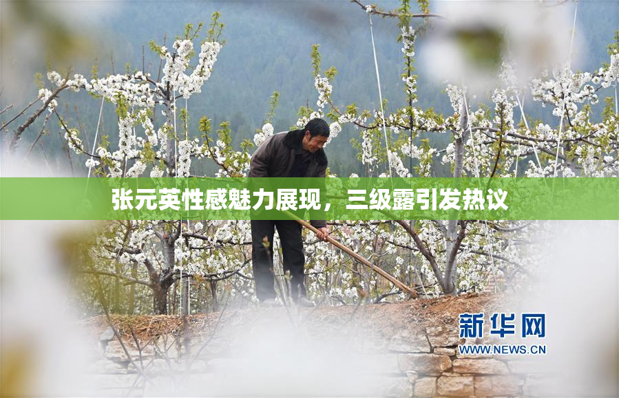 张元英性感魅力展现，三级露引发热议