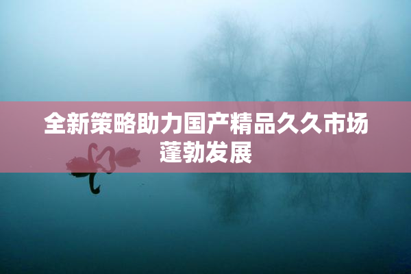 全新策略助力国产精品久久市场蓬勃发展