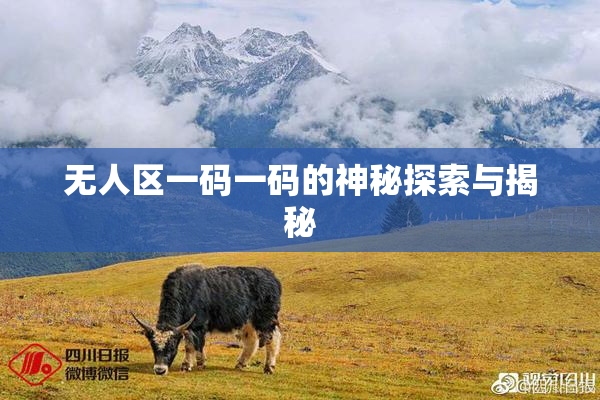 无人区一码一码的神秘探索与揭秘