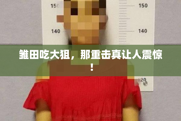 雏田吃大狙，那重击真让人震惊！