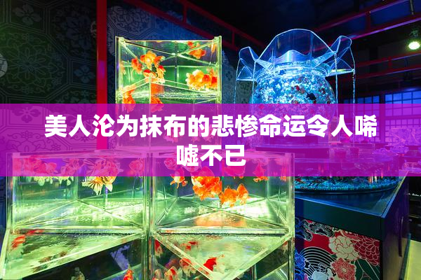 美人沦为抹布的悲惨命运令人唏嘘不已