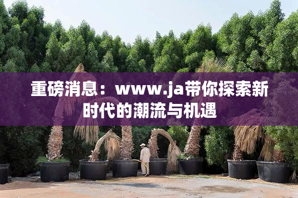 重磅消息：www.ja带你探索新时代的潮流与机遇