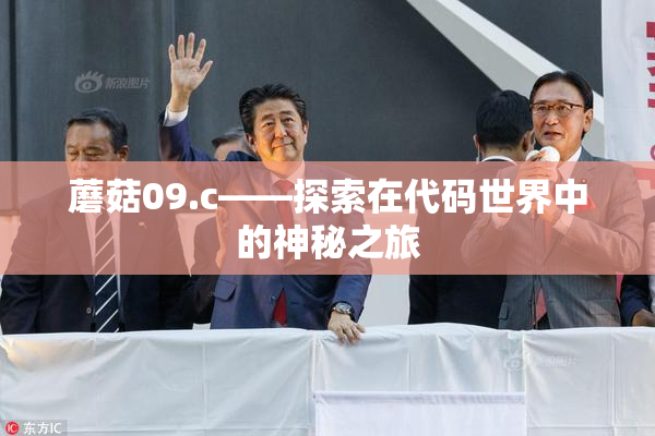 蘑菇09.c——探索在代码世界中的神秘之旅