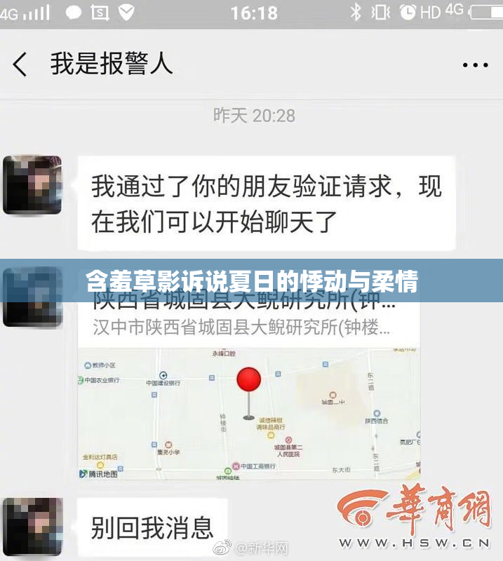 含羞草影诉说夏日的悸动与柔情