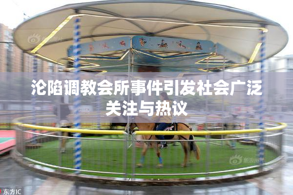 沦陷调教会所事件引发社会广泛关注与热议