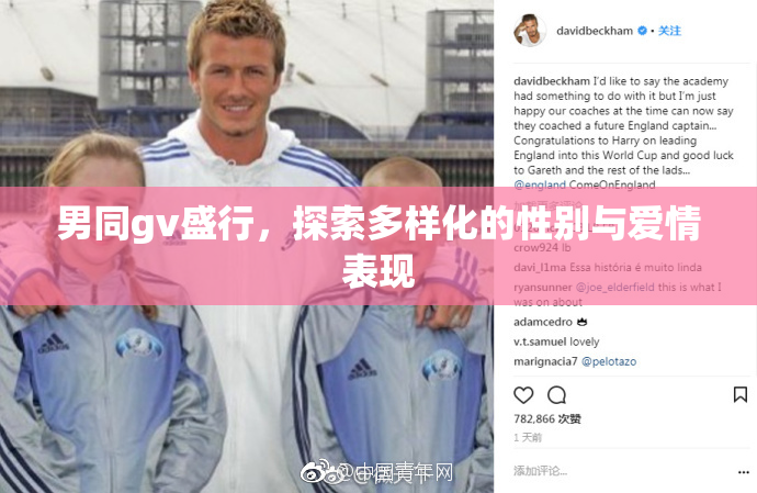 男同gv盛行，探索多样化的性别与爱情表现