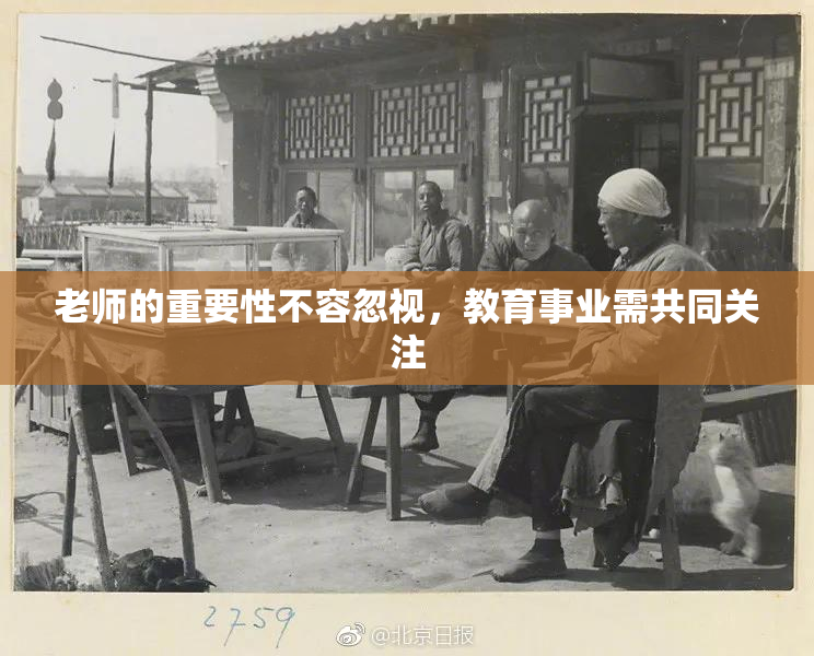 老师的重要性不容忽视，教育事业需共同关注