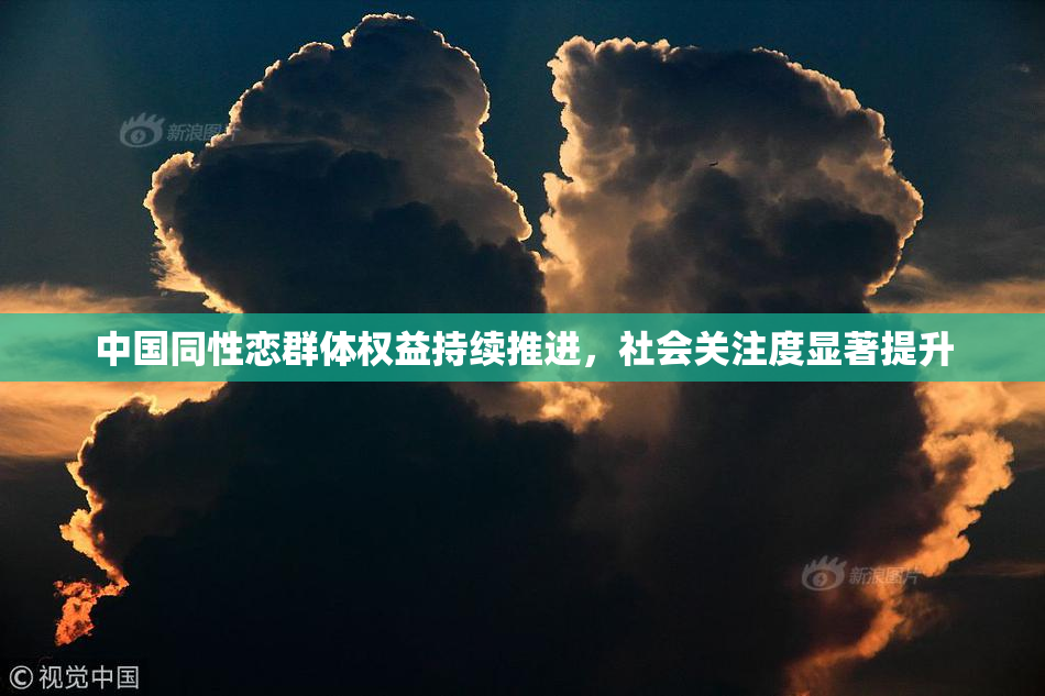 中国同性恋群体权益持续推进，社会关注度显著提升