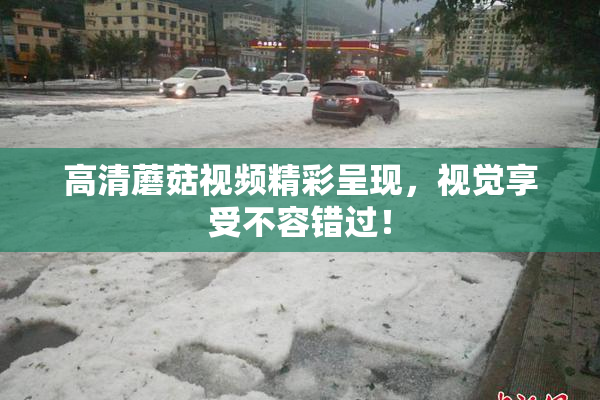 高清蘑菇视频精彩呈现，视觉享受不容错过！