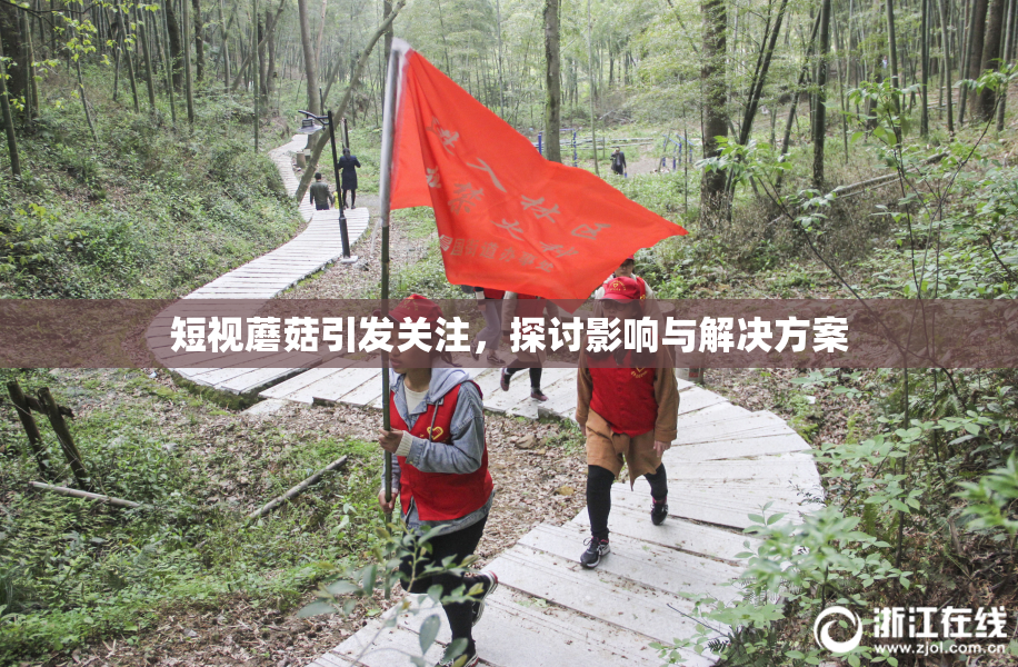短视蘑菇引发关注，探讨影响与解决方案