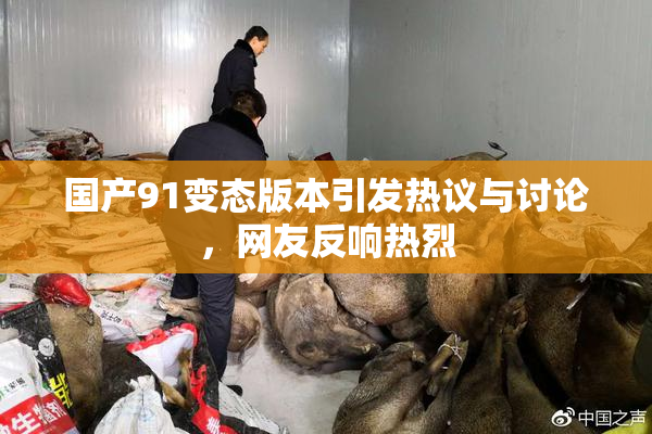 国产91变态版本引发热议与讨论，网友反响热烈