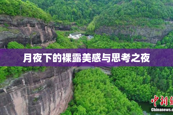 月夜下的裸露美感与思考之夜