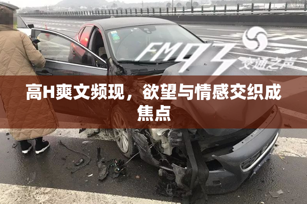 高H爽文频现，欲望与情感交织成焦点