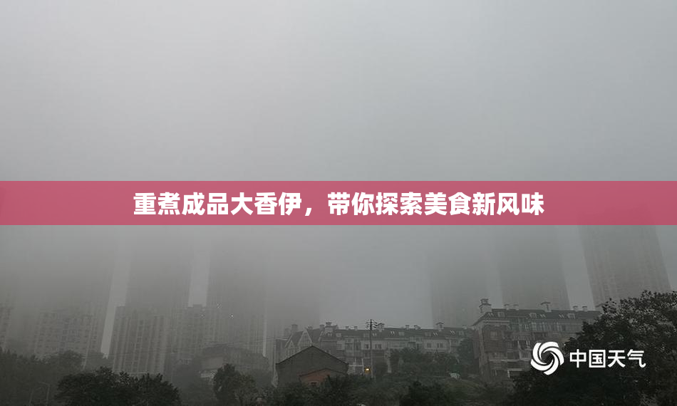 重煮成品大香伊，带你探索美食新风味