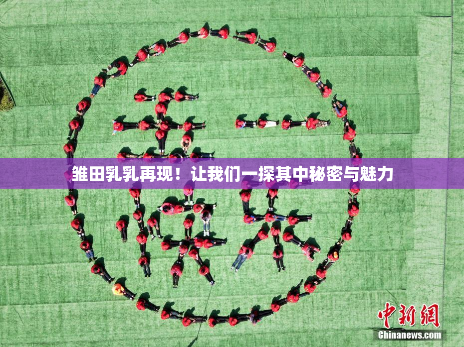 雏田乳乳再现！让我们一探其中秘密与魅力