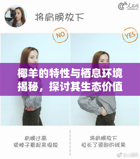椰羊的特性与栖息环境揭秘，探讨其生态价值与饲养前景