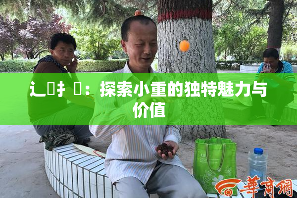 辶喿扌畐：探索小重的独特魅力与价值