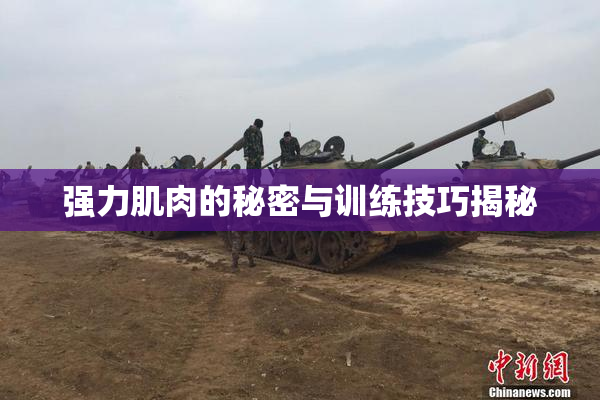 强力肌肉的秘密与训练技巧揭秘