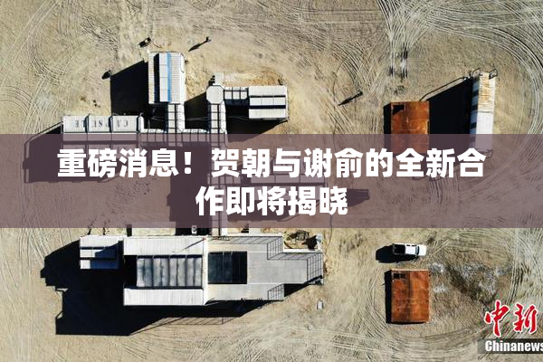 重磅消息！贺朝与谢俞的全新合作即将揭晓
