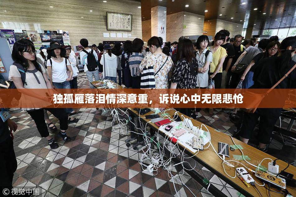 独孤雁落泪情深意重，诉说心中无限悲怆