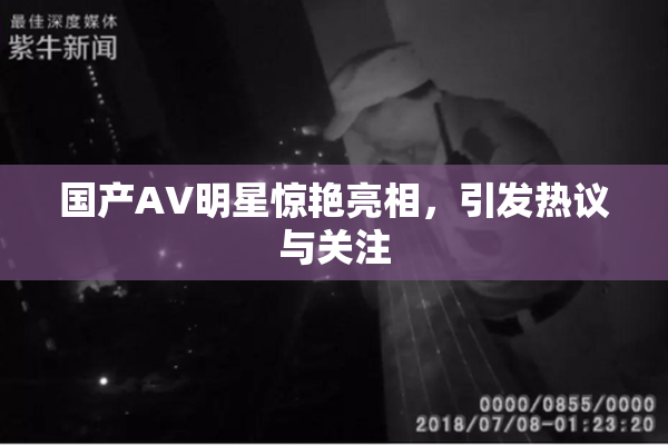 国产AV明星惊艳亮相，引发热议与关注
