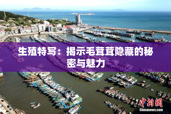 生殖特写：揭示毛茸茸隐藏的秘密与魅力