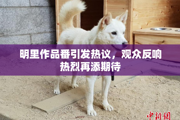明里作品番引发热议，观众反响热烈再添期待