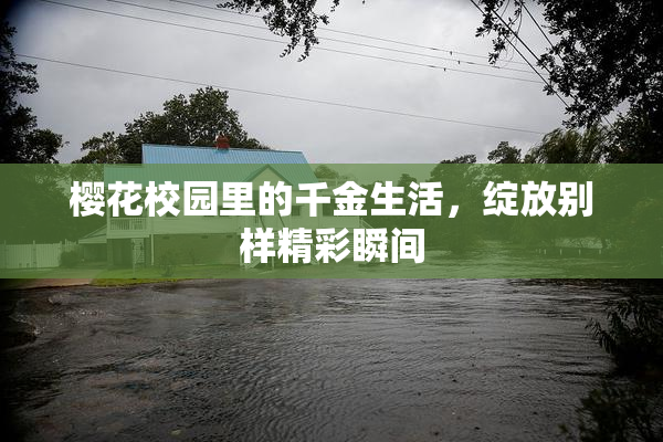 樱花校园里的千金生活，绽放别样精彩瞬间