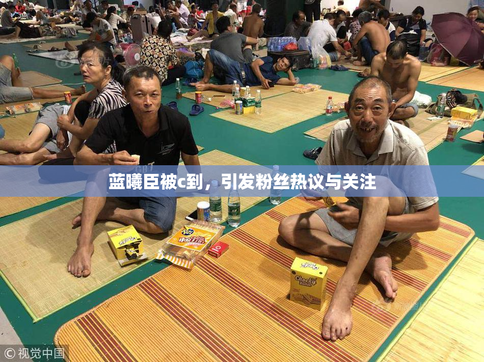蓝曦臣被c到，引发粉丝热议与关注