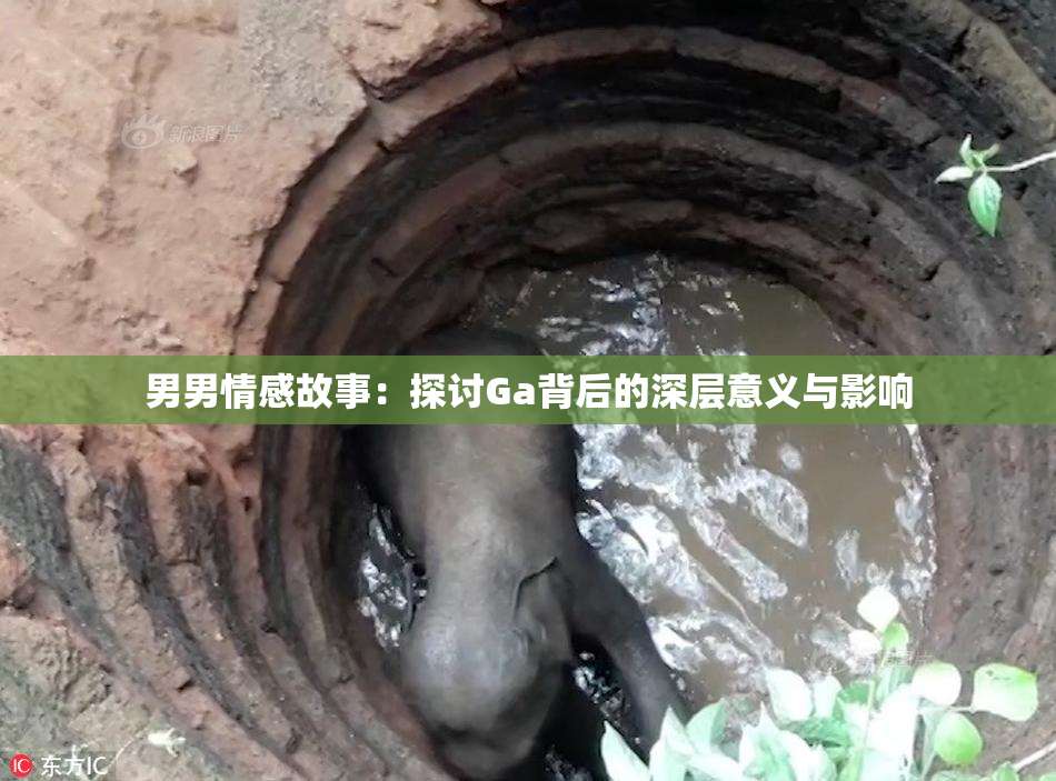男男情感故事：探讨Ga背后的深层意义与影响