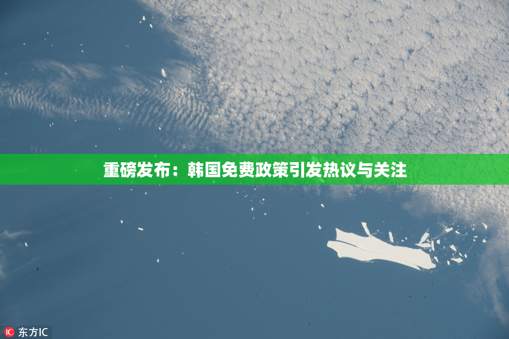 重磅发布：韩国免费政策引发热议与关注