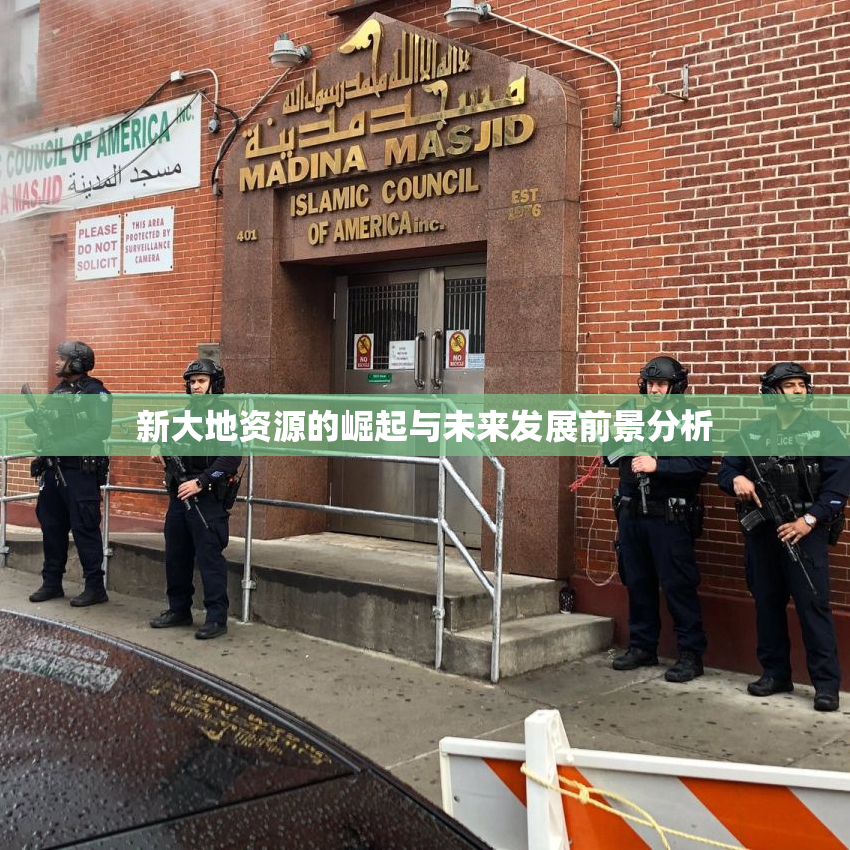 新大地资源的崛起与未来发展前景分析