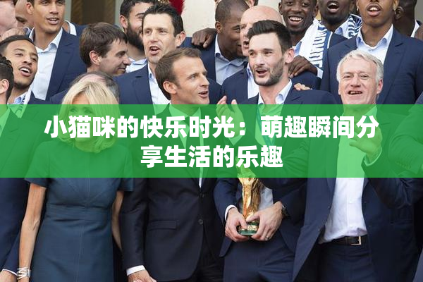 小猫咪的快乐时光：萌趣瞬间分享生活的乐趣