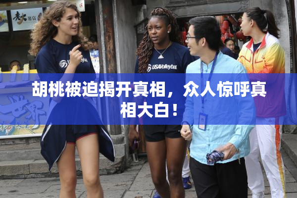 胡桃被迫揭开真相，众人惊呼真相大白！