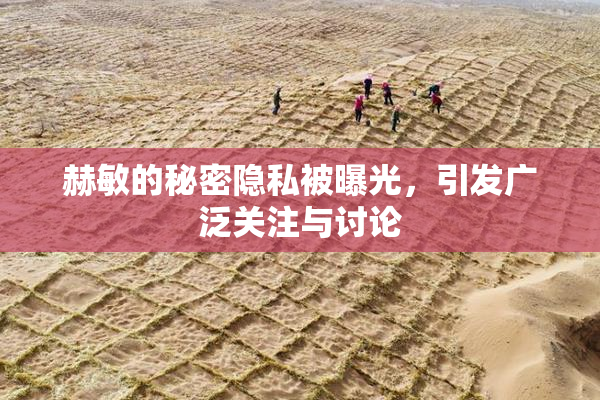 赫敏的秘密隐私被曝光，引发广泛关注与讨论