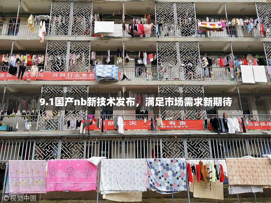 9.1国产nb新技术发布，满足市场需求新期待