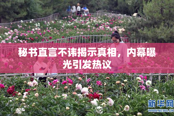 秘书直言不讳揭示真相，内幕曝光引发热议